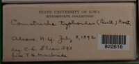 Image Associated With the Occurence